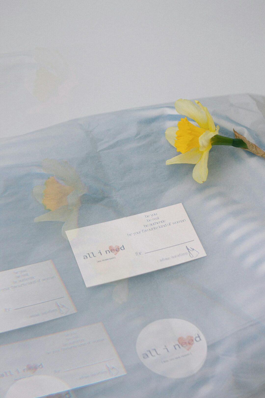 Delicate packaging with a daffodil and business cards under tissue paper, perfect for sophisticated branding.