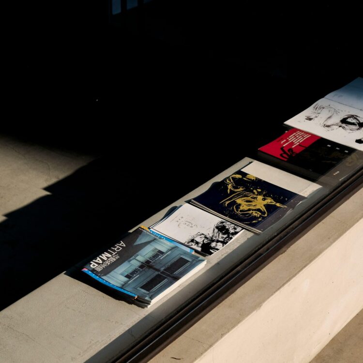 Art magazines and brochures on a sunlit concrete surface, highlighting shadow play and design.